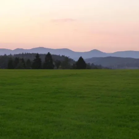Apartamento Charming In The Black Forest