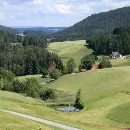 Charming In The Black Forest Apartment Lauterbach (Baden-Wurttemberg)