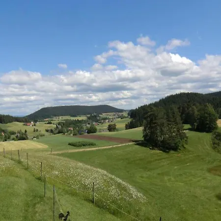 Charming In The Black Forest *