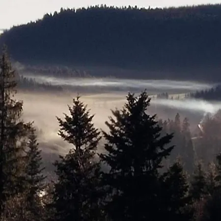 Charming In The Black Forest Apartamento