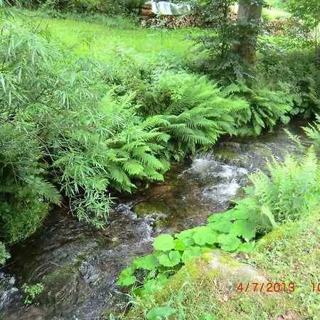 Apartment Charming In The Black Forest Lauterbach (Baden-Wurttemberg)