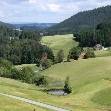 In Nahe Skipisten Appartement *
