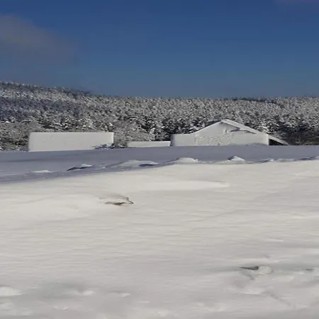 Apartament In Nahe Skipisten