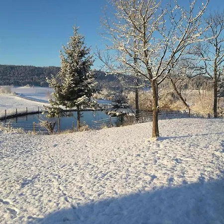 In Nahe Skipisten Lauterbach (Baden-Wurttemberg)