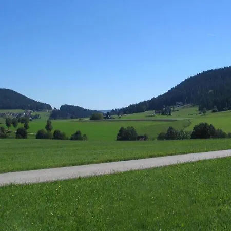 Appartement In Nahe Skipisten Lauterbach (Baden-Wurttemberg)