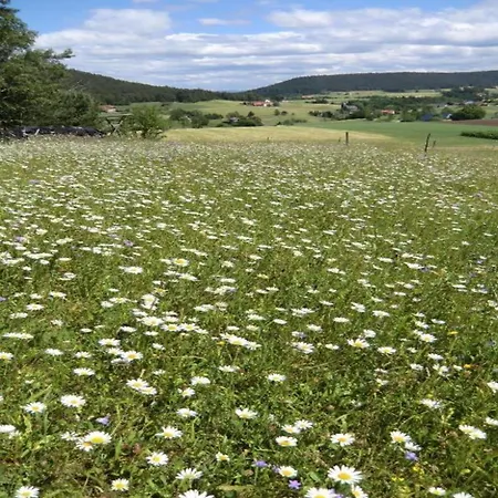 Apartament In Nahe Skipisten *