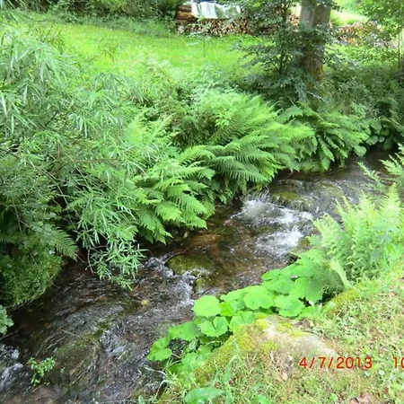 In Nahe Skipisten Apartament Lauterbach (Baden-Wurttemberg)