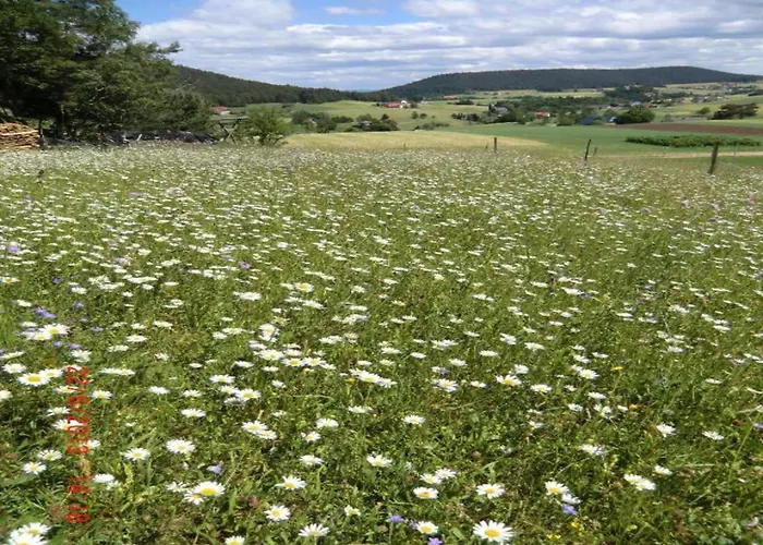 Appartement In Nahe Skipisten *